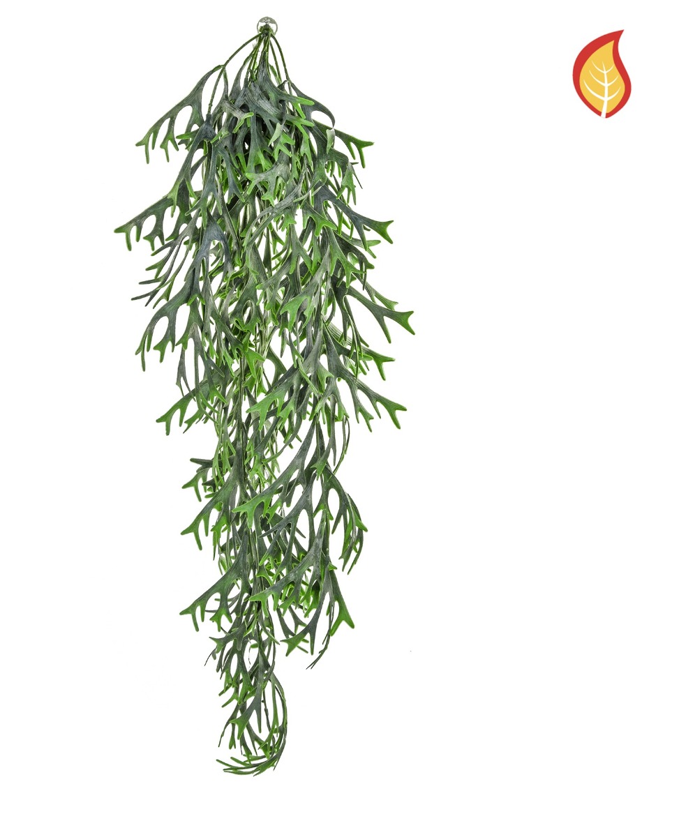 Staghorn Hanging 80cm FR-0