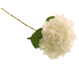 65cm Mophead Hydrangea White-0