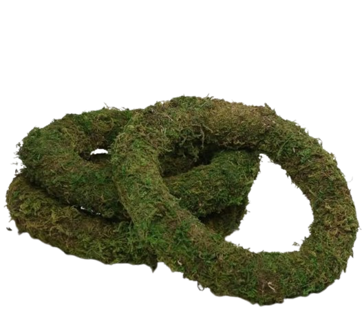 30cm (12") Green Moss Wreath Ring