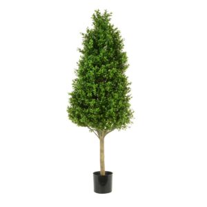 Boxwood Tower Tree 90cm