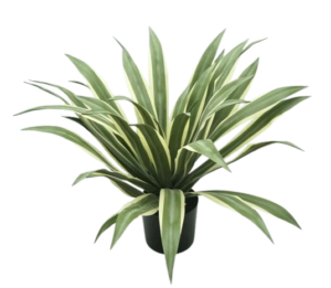 UV Artificial Agave Tree Green/White 70cm-0