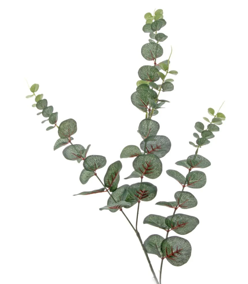 Mini Spiral Eucalyptus Spray Dark Green 90cm-0