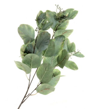 80cm Populus Eucalyptus Green 84cm-0