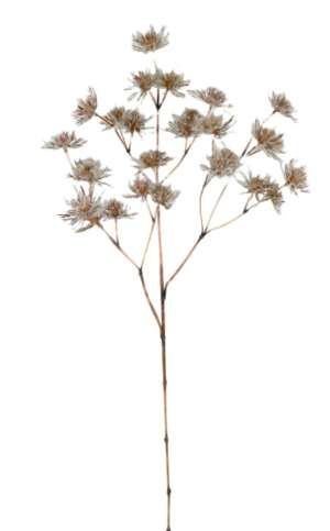 Frosted Withered Alliums White/Brown 96cm-0