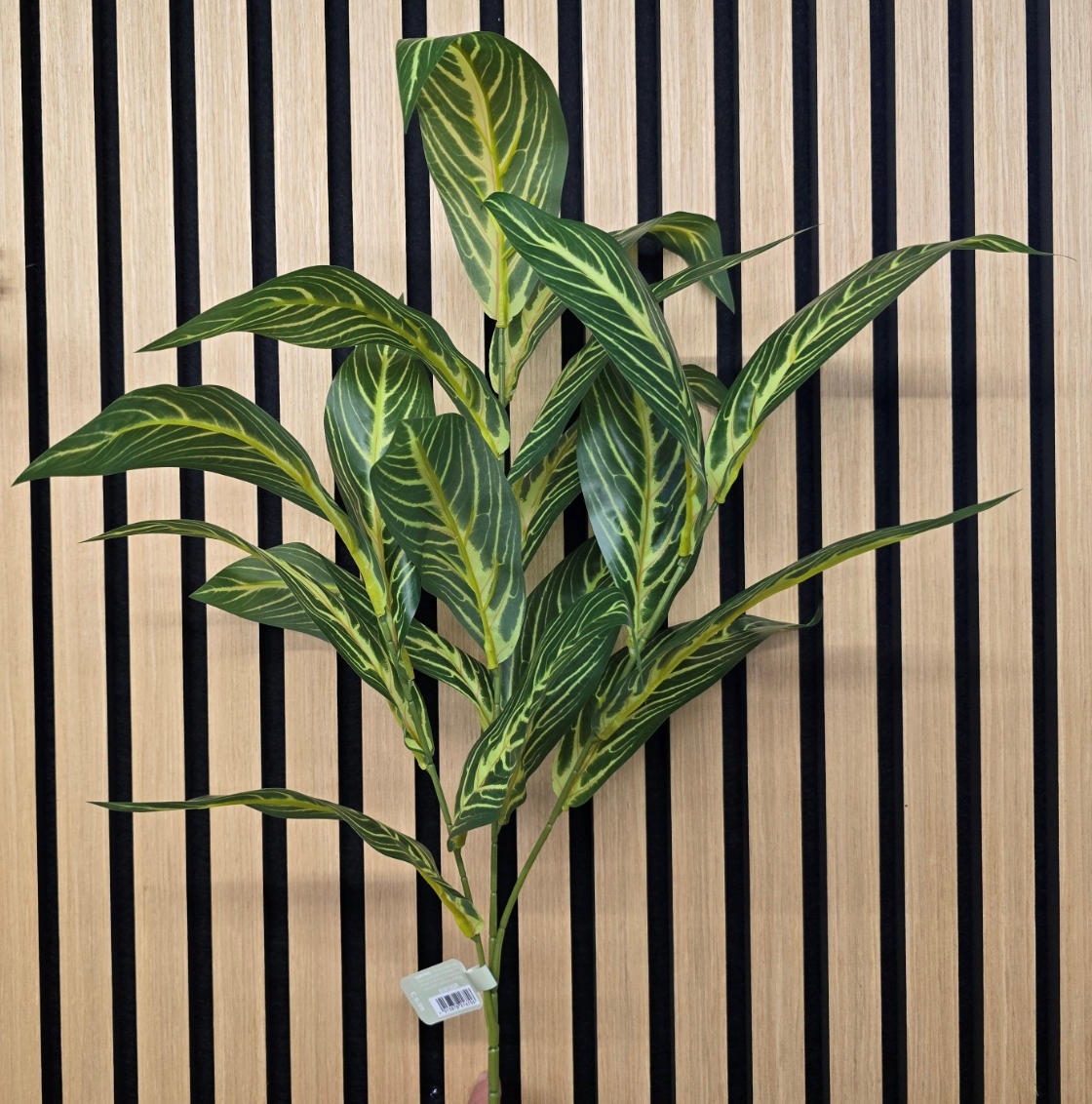 Dieffenbachia Leaf Spray 83cm