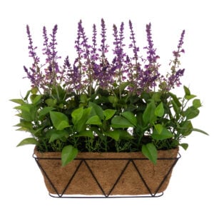 UV Lavender Window Box 52cm U-V Protected-0