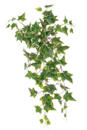 ECO Ivy Hanging Bush UV U-V Protected & Waterproof-0