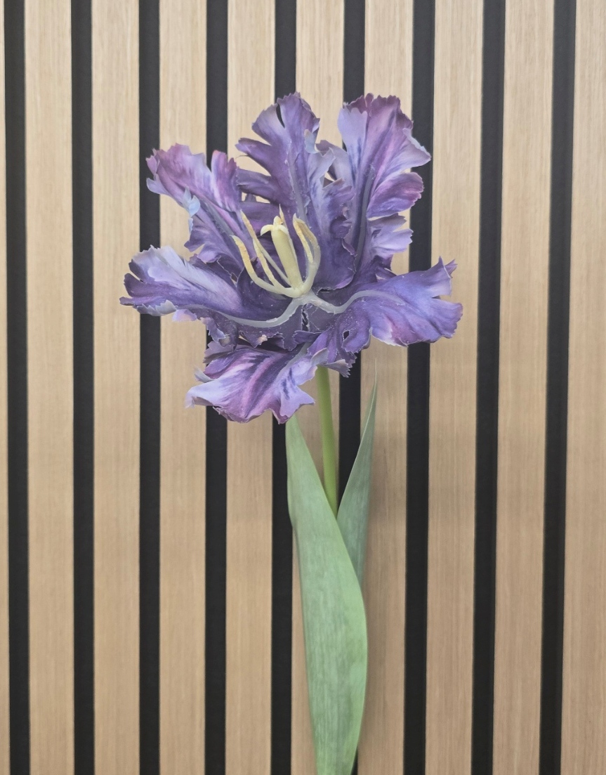 69cm Parrot Tulip Single Purple