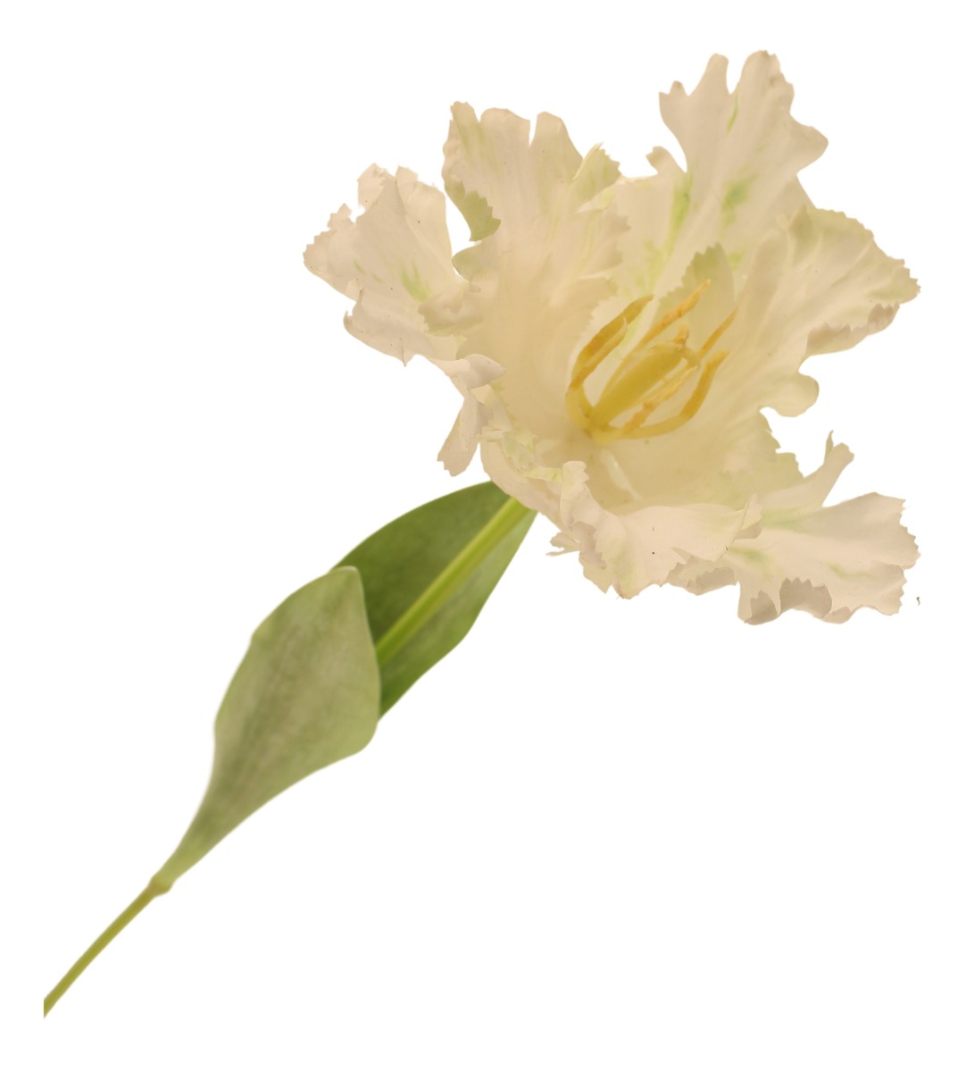 69cm Parrot Tulip Single Cream-0