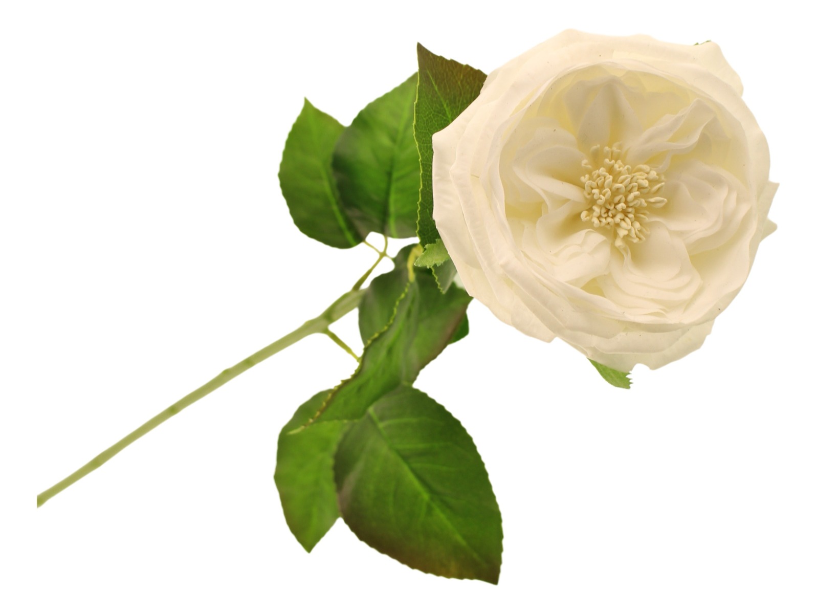 60cm Provence Rose Single White-0