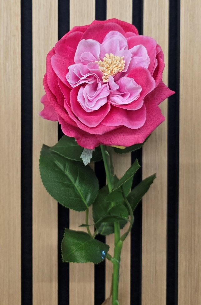 60cm Provence Rose Single Pink