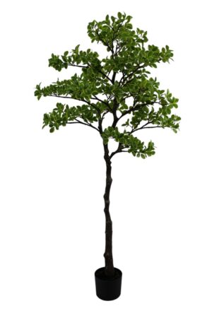 Artificial Real Touch Pittosporum Tree 150cm-0