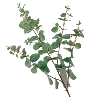 Spiral Eucalyptus Spray Green 110cm-0