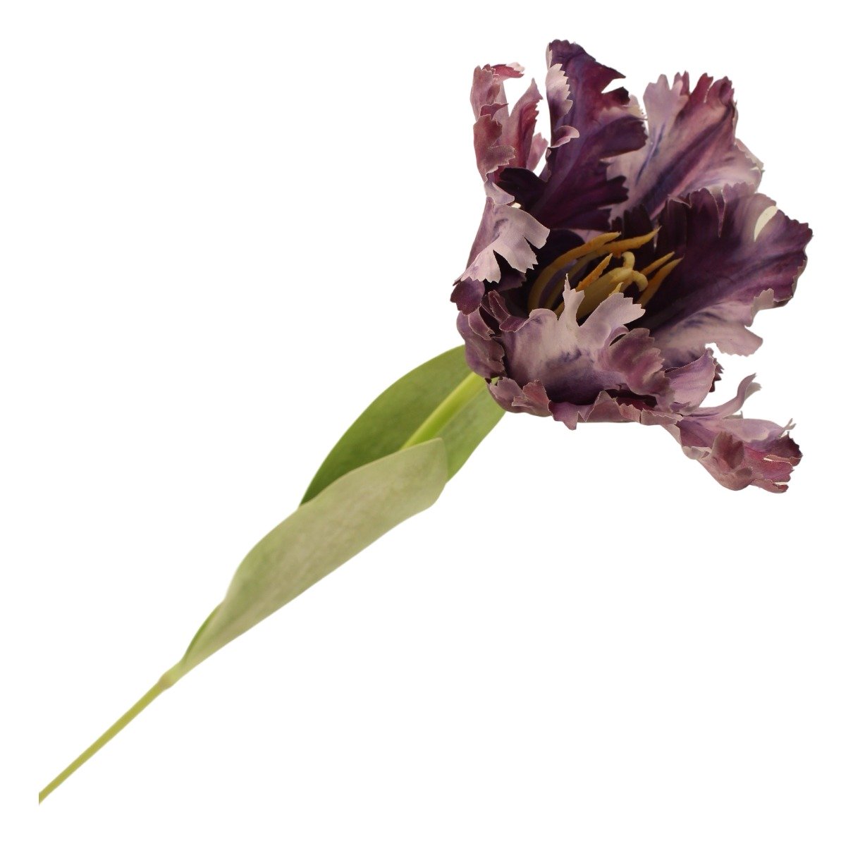 69cm Parrot Tulip Single Purple-0