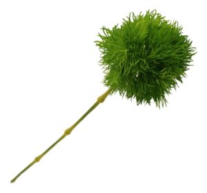 37cm Single Dianthus Green-0