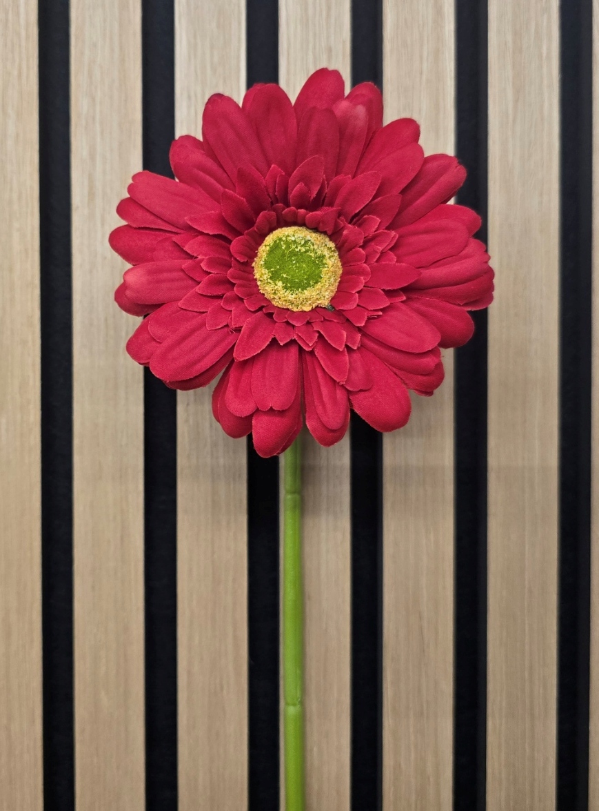 Single Gerbera 72cm Red