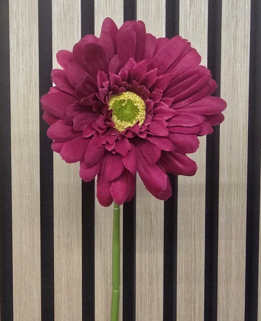 Single Gerbera 72cm Burgundy