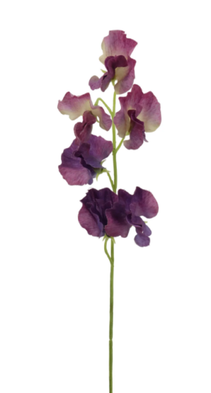 Sweet Pea Spray 42cm Purple-0
