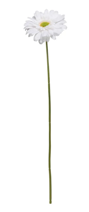 Single Gerbera 72cm White-0