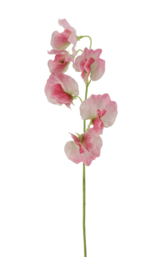 Sweet Pea Spray 42cm Pink-0