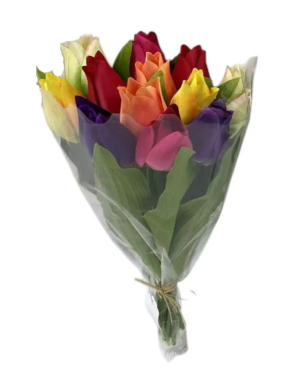 Mixed Colour Tulip Bunch 38cm