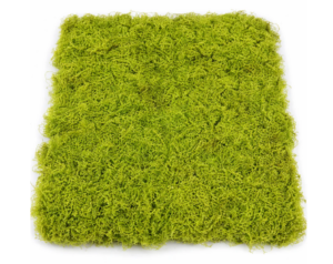 Artificial Moss Panel Green 100 x 100cm
