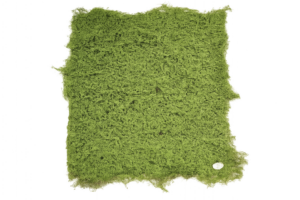 Artificial Moss Grass Tile Green 100 x 100cm-0