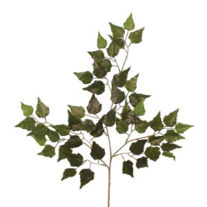 Birch Spray x 56 Leaves Green FR-0