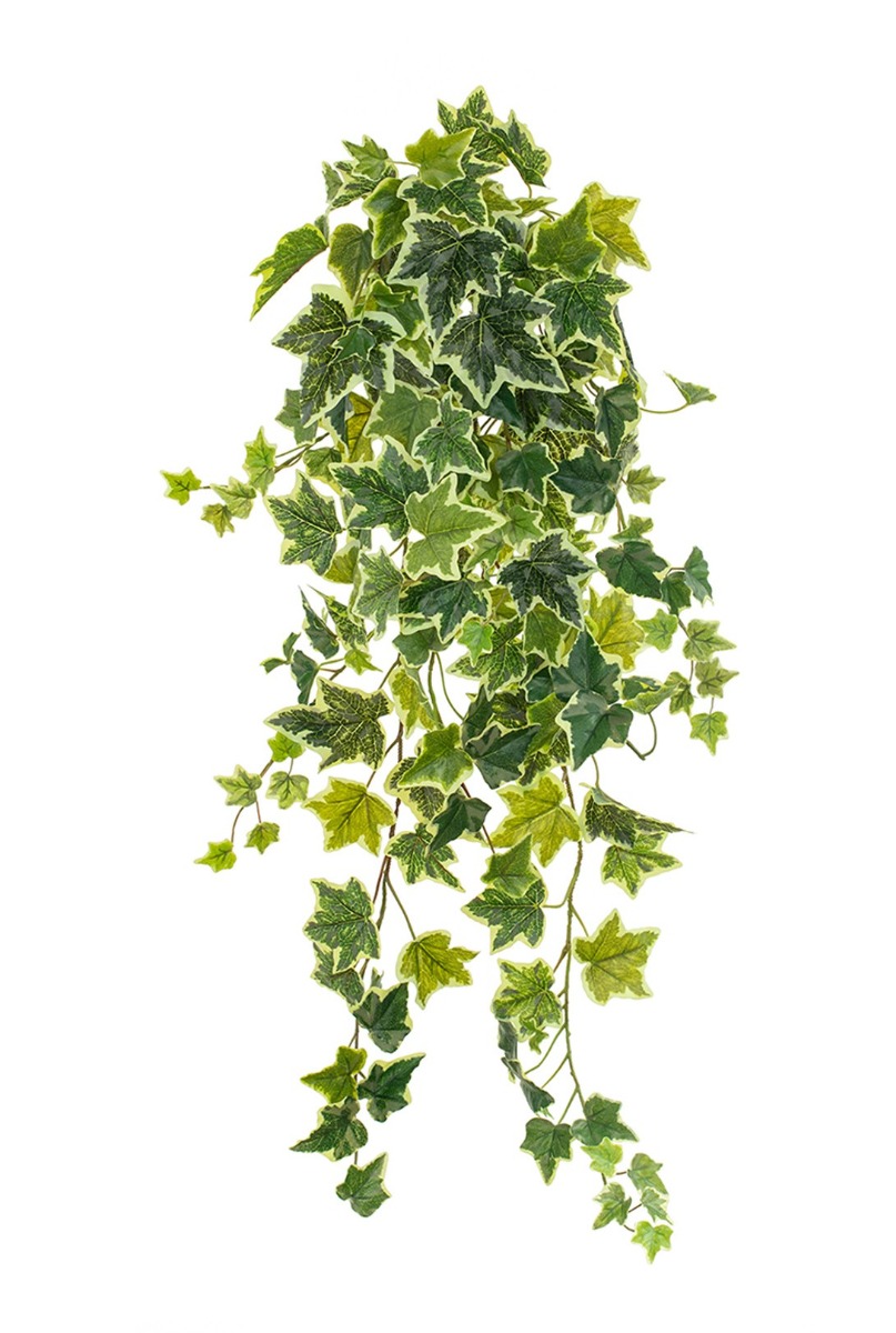 Artificial Ivy Hanging Bush Variegated 68cm