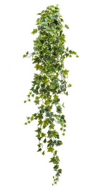 Artificial Ivy Hanging Bush Variegated 180cm-0