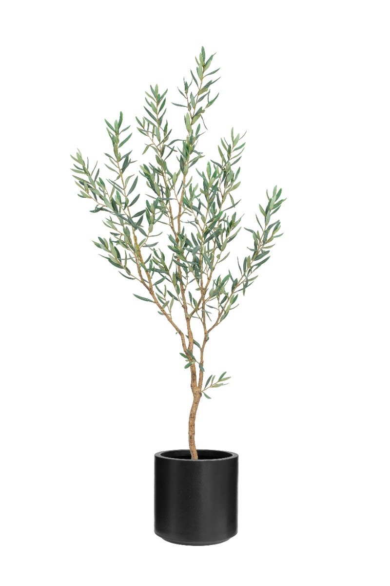 Olive Tree 180cm In Black Stockholm Pot