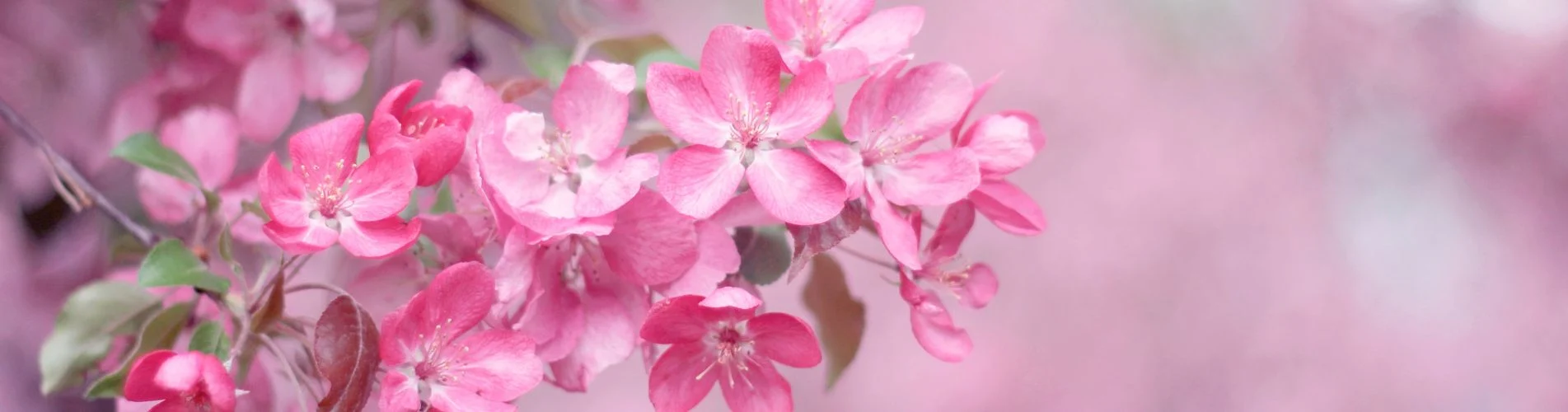 Pink artificial flower stems