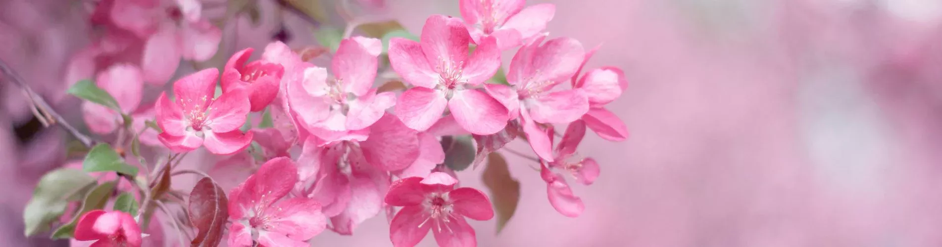 Pink artificial flower stems
