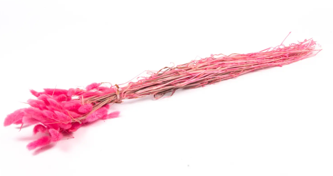 Lagarus/Bunny Tails Fuchsia 50g