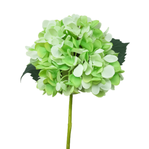 Hydrangea Stem Green 58cm