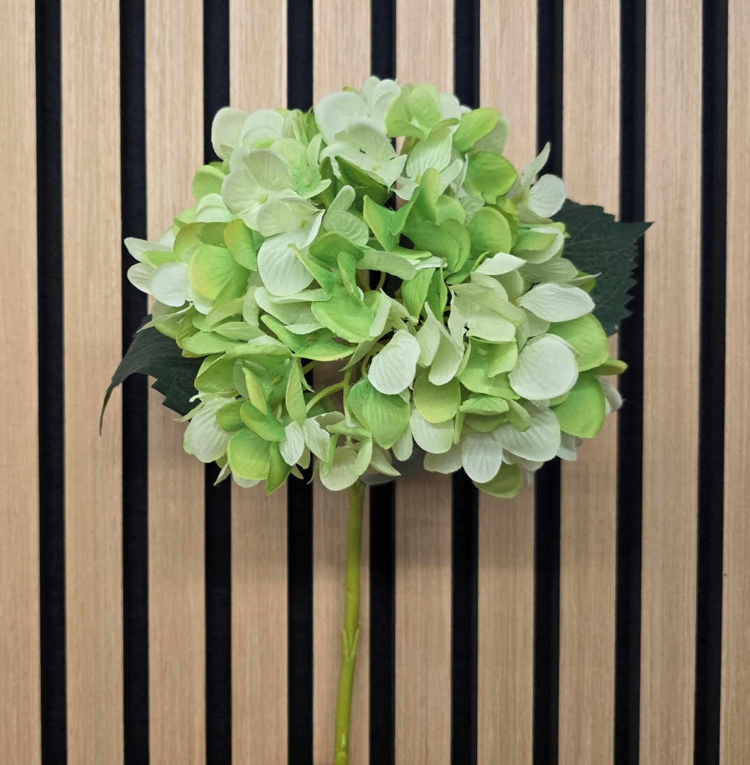 Hydrangea Stem Green 58cm