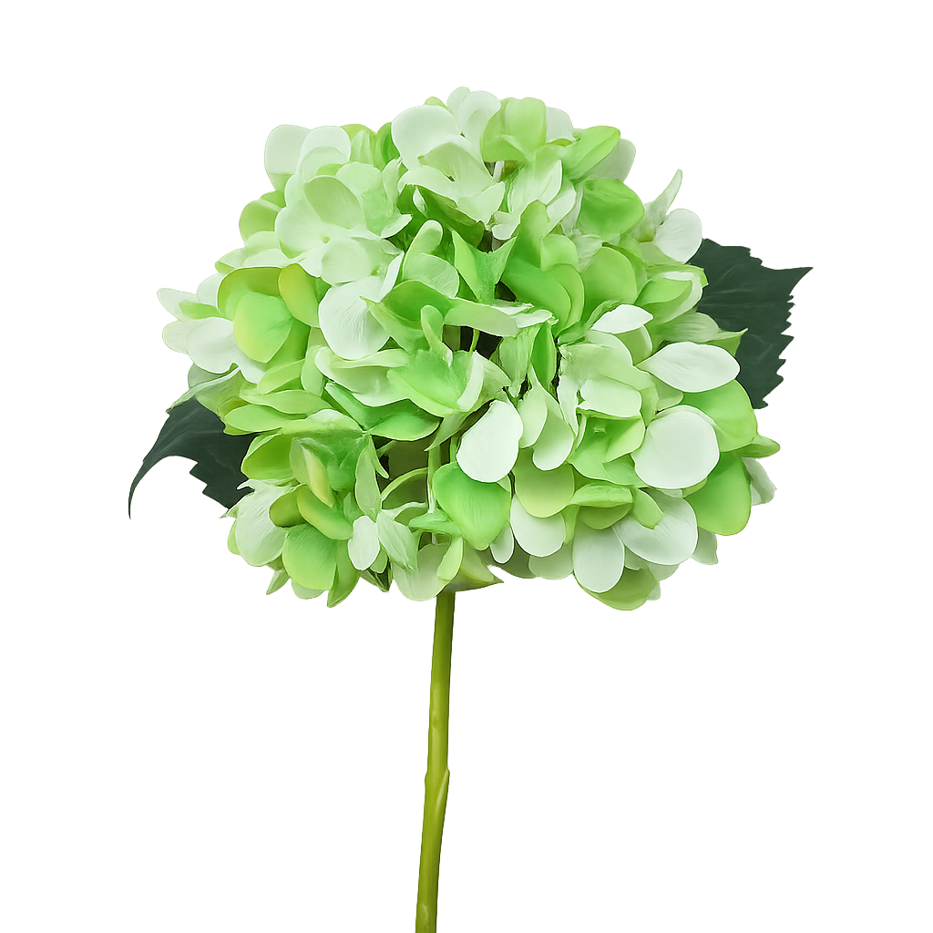 Hydrangea Stem Green 58cm