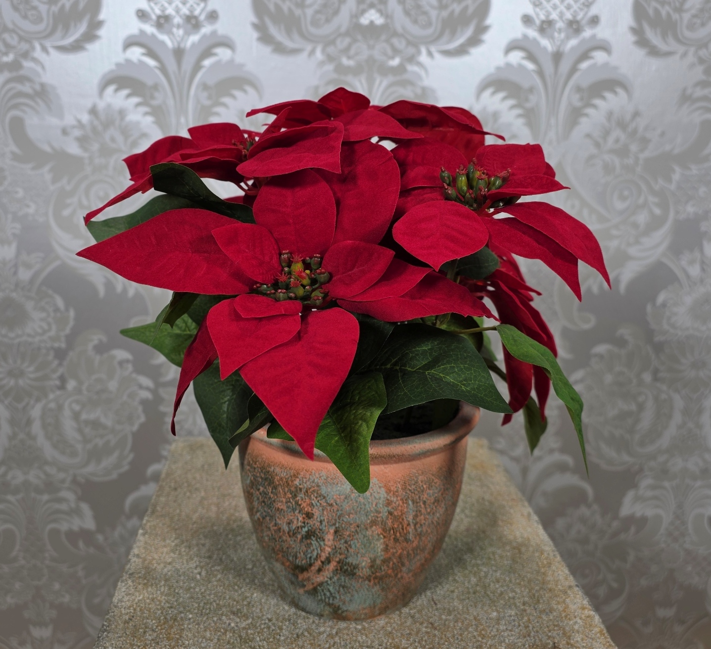 Poinsettia In Pot 33cm Red