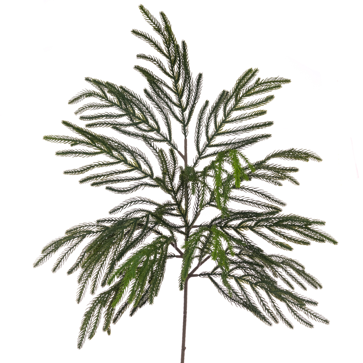 Waxed Pine Spray 104cm