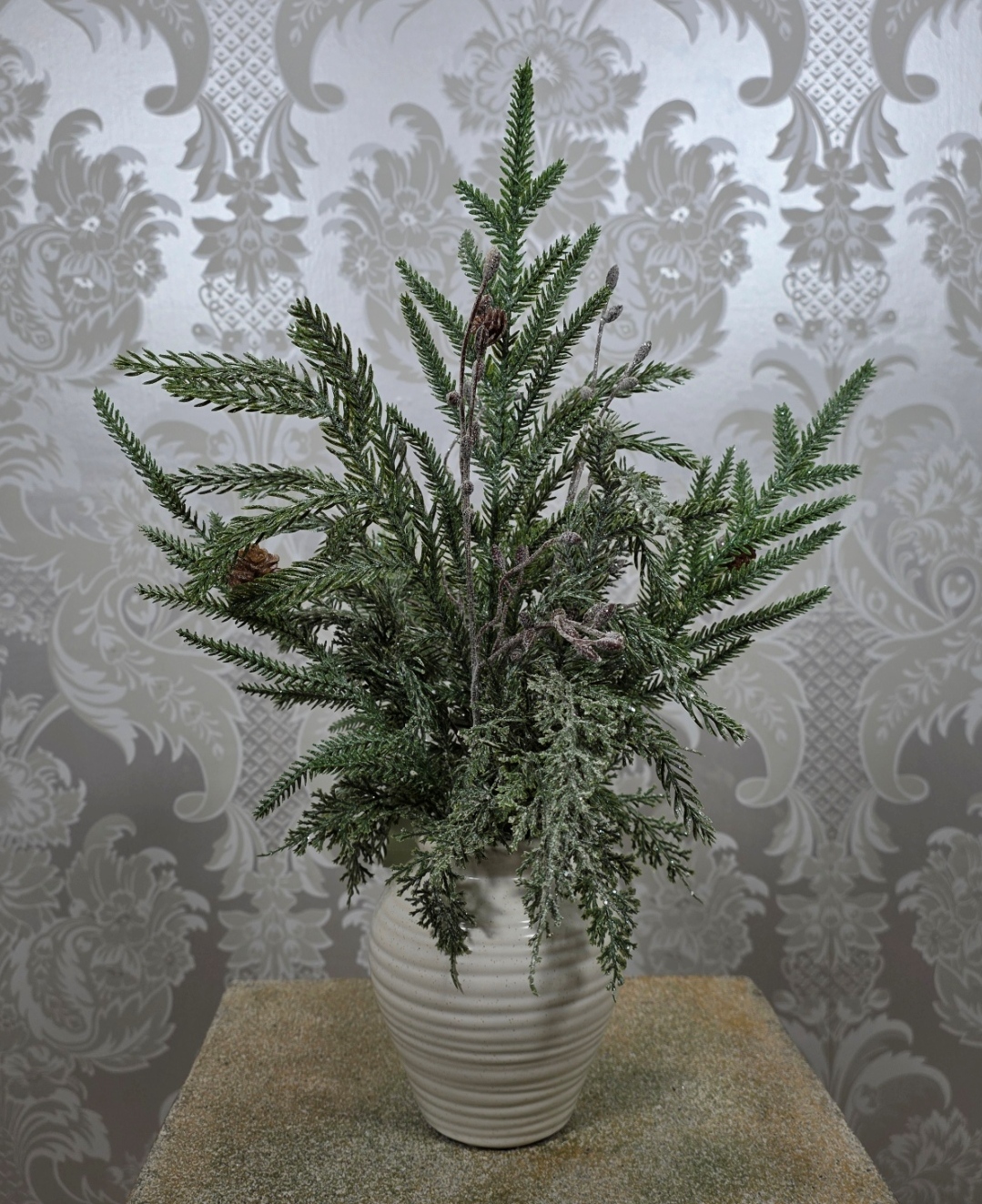 Sparkle Pine In Pot 45cm