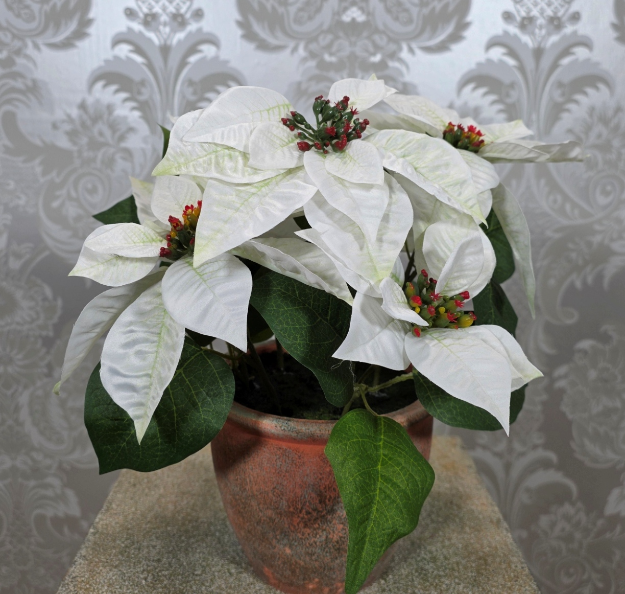 Poinsettia In Pot 33cm White