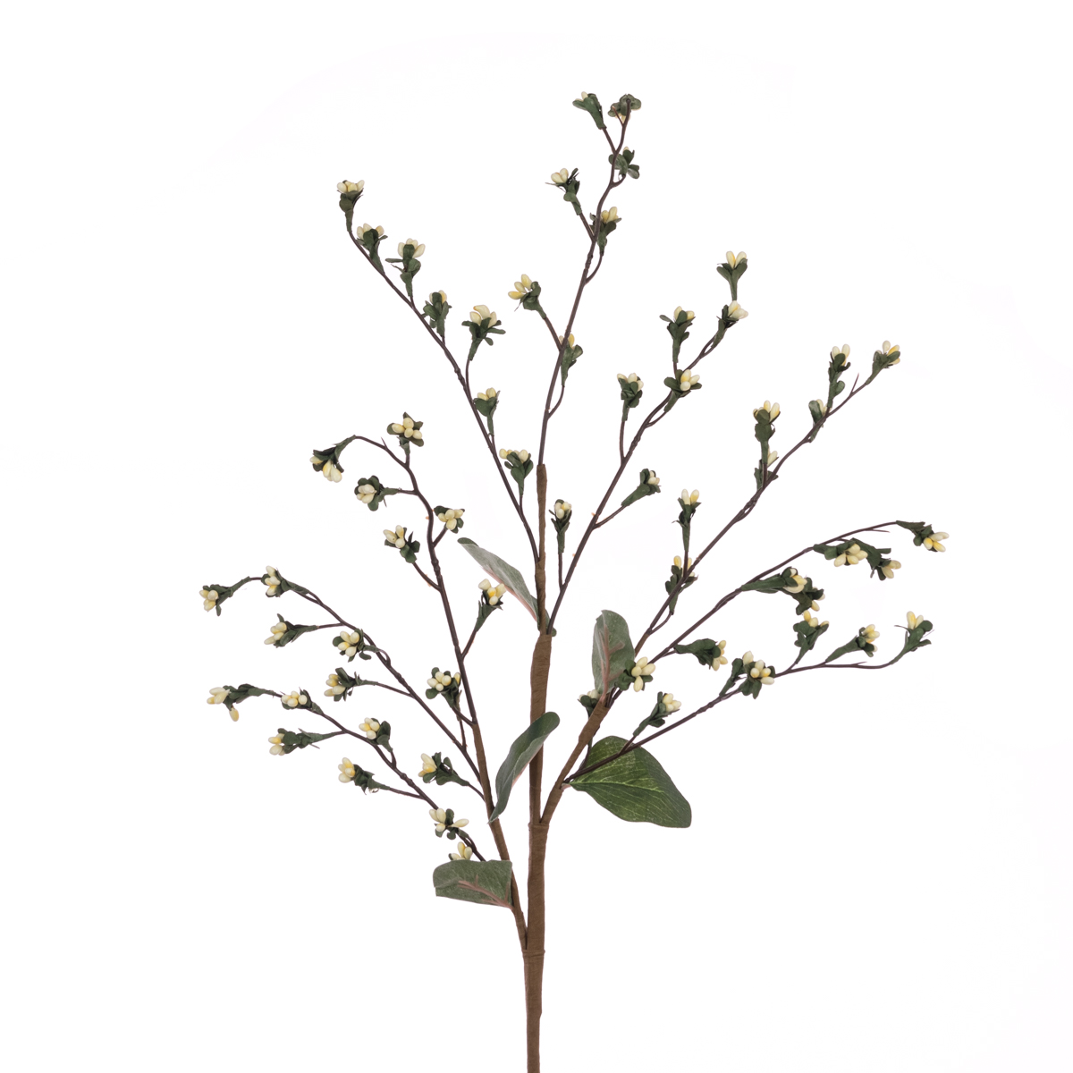 Gypsum Berry Spray 79cm Cream
