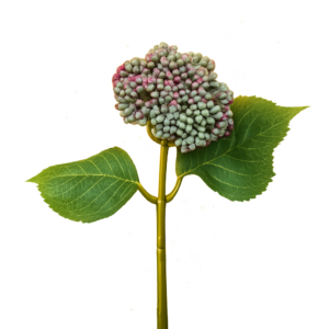 Artificial Berry Spray Green/Burgundy