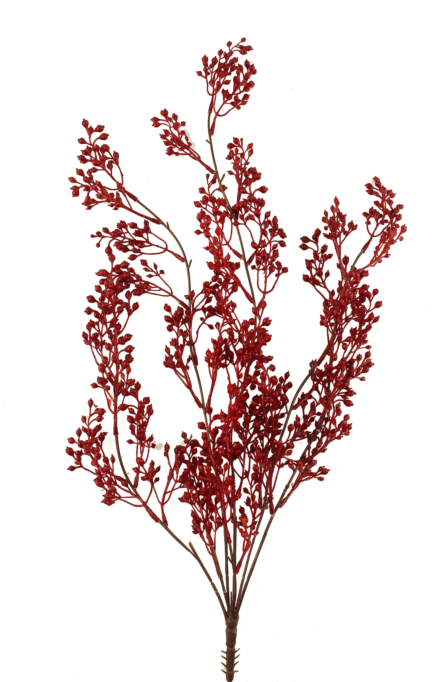 62cm Barberry Trailing Bush - Weather Resistant