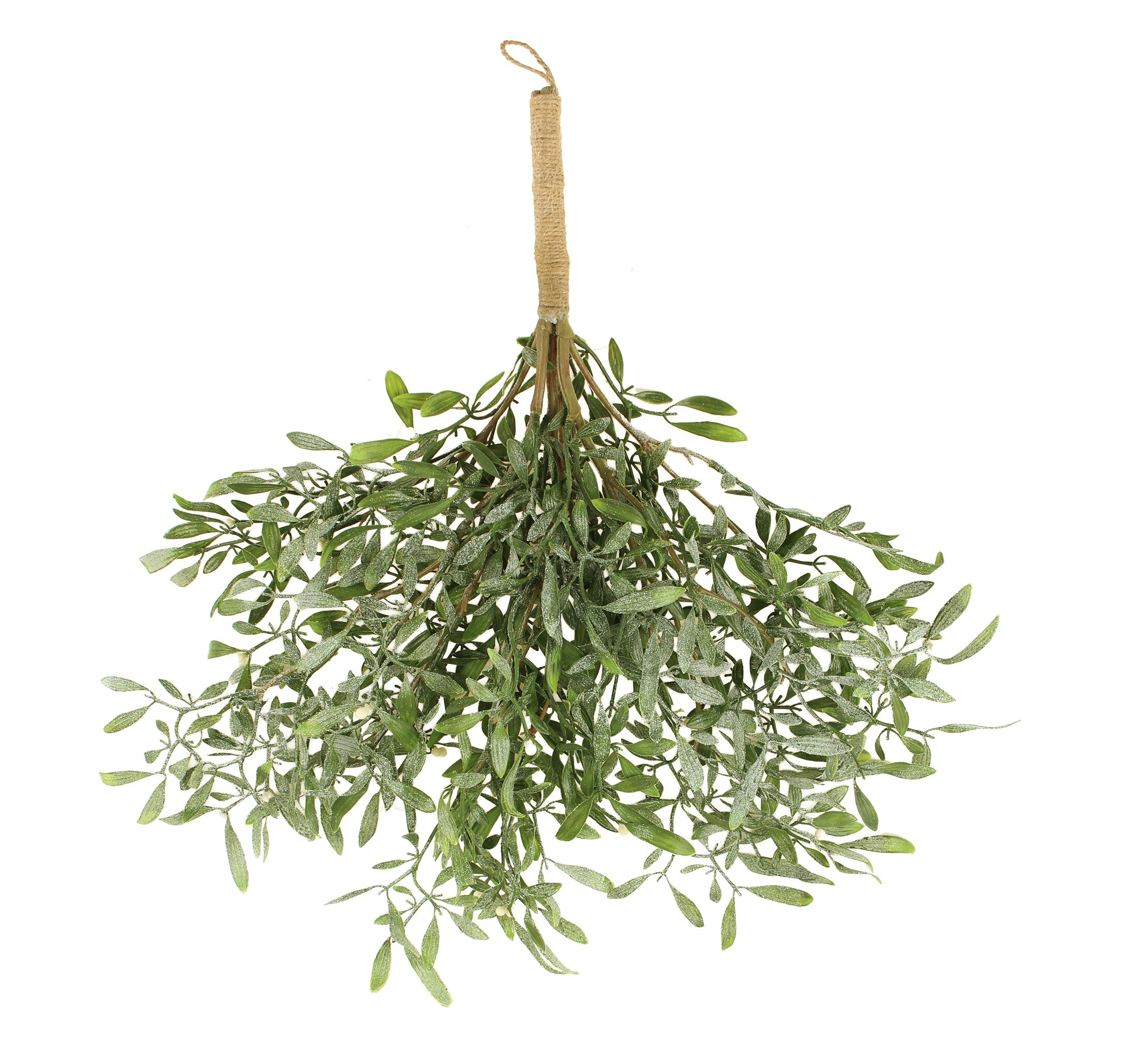 58cm Snowy Mistletoe Hanger