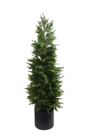 150cm Juniper Tree in Planter