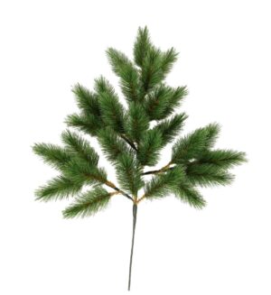 Evergreen mountain Spray Green 70cm