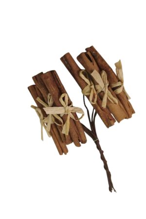 Cinnamon On Wire Bundle