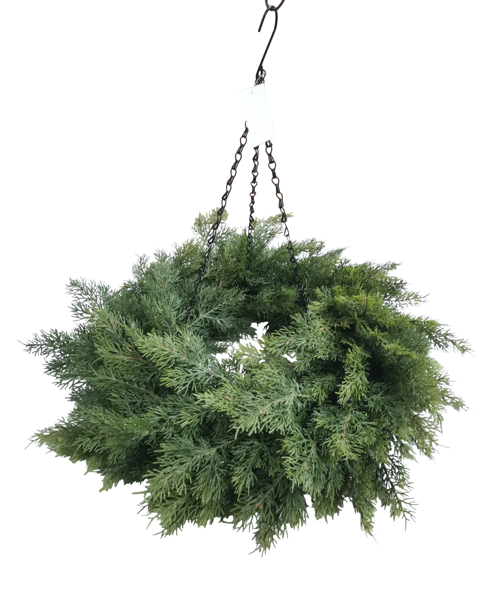 Hanging Cedar Wreath 60cm Diameter