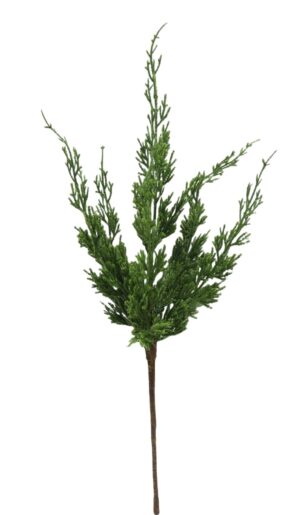 Cedar Spray 47cm
